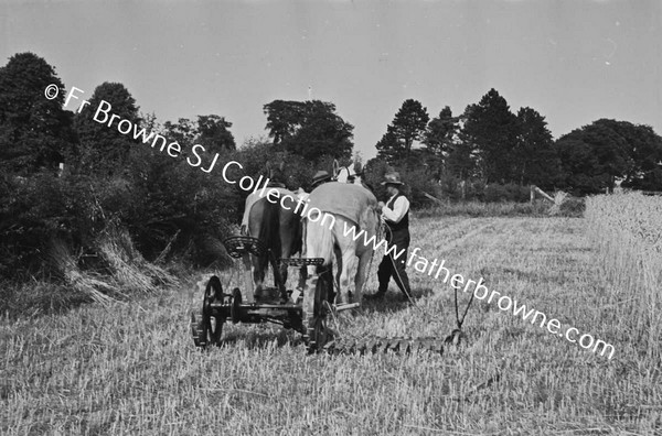 HARVESTING WHEAT